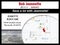 2022 GMC Canyon 4WD Elevation Standard