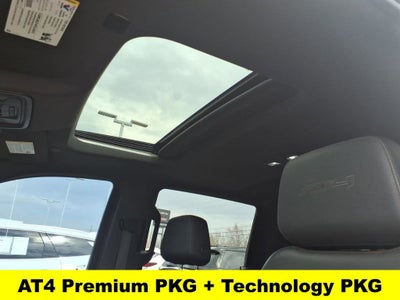 2019 GMC Sierra 1500 AT4